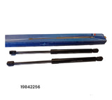 Juego de amortiguadores de cajuela para Renault Clio